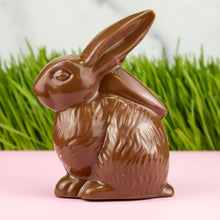 Load image into Gallery viewer, Small Bunny