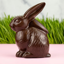 Load image into Gallery viewer, Small Bunny
