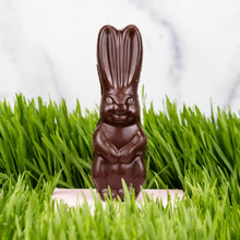 Load image into Gallery viewer, Mini Bunny