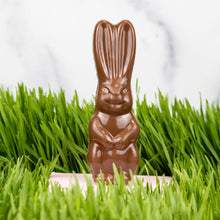 Load image into Gallery viewer, Mini Bunny