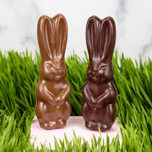 Load image into Gallery viewer, Mini Bunny