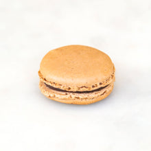 Load image into Gallery viewer, hazelnut macaron
