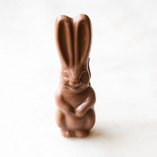 milk chocolate bunny 